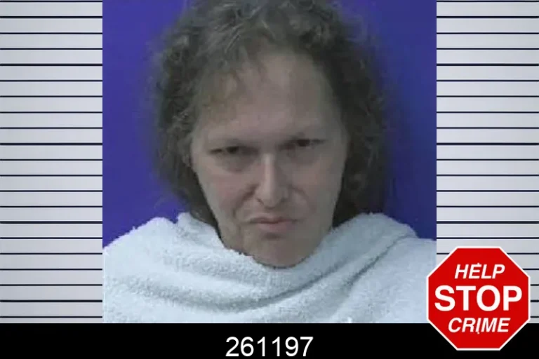 261197