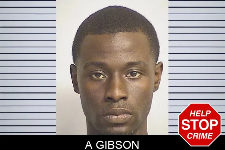 A Gibson