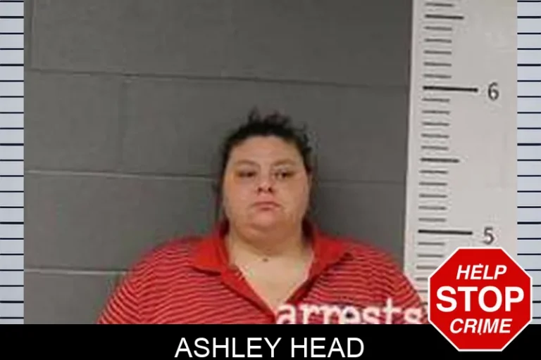 ASHLEY HEAD
