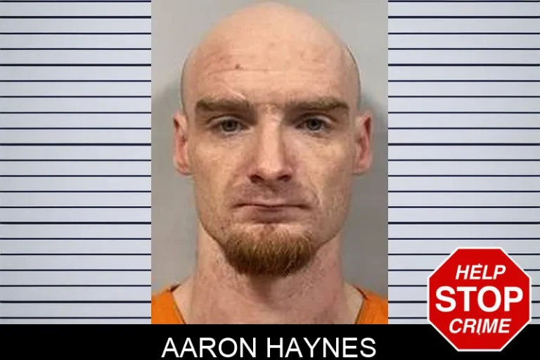 Aaron Haynes
