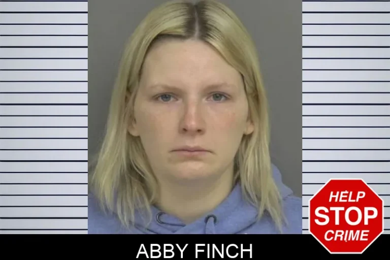 Abby Finch