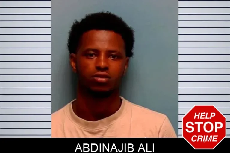 Abdinajib Ali