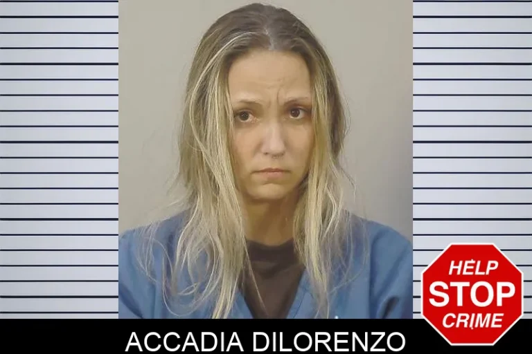 Accadia Dilorenzo