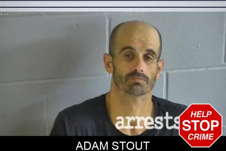 Adam Stout