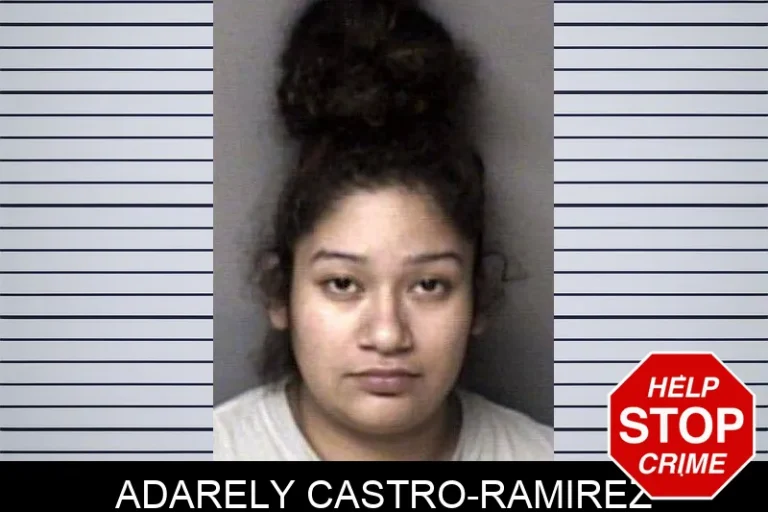 Adarely Castro-Ramirez