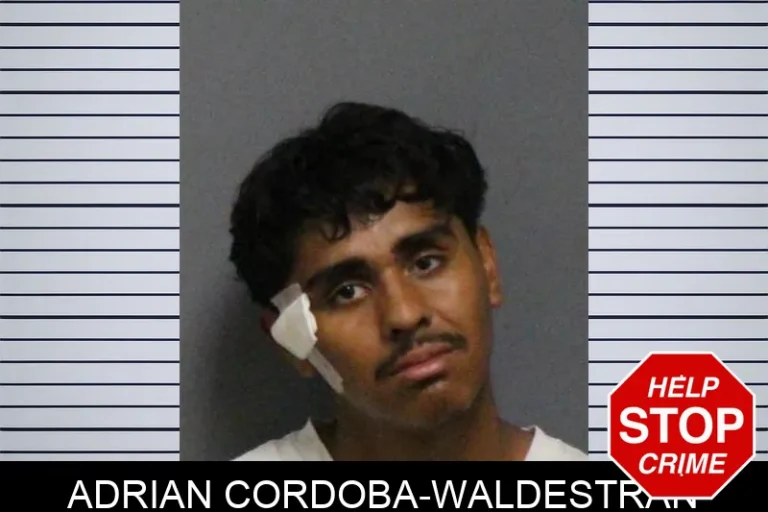 Adrian Cordoba-Waldestran