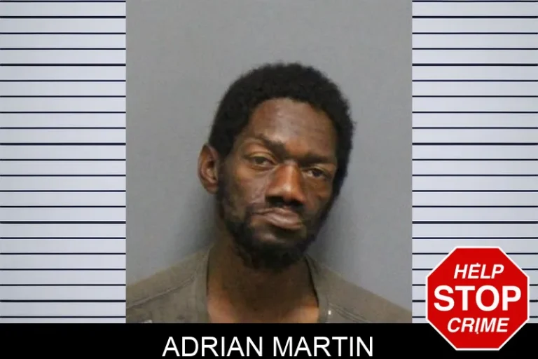 Adrian Martin