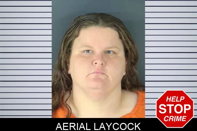 Aerial Laycock
