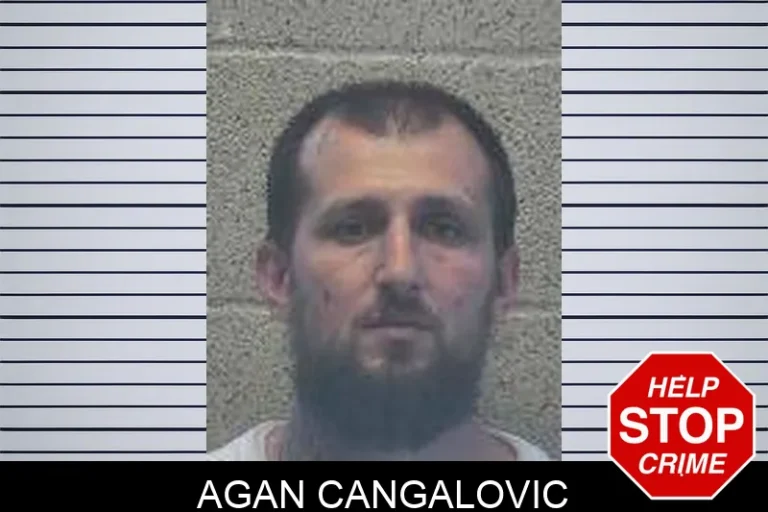 Agan Cangalovic