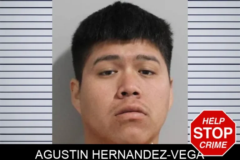 Agustin Hernandez-Vega