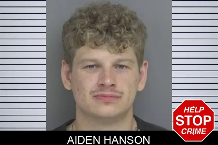 Aiden Hanson