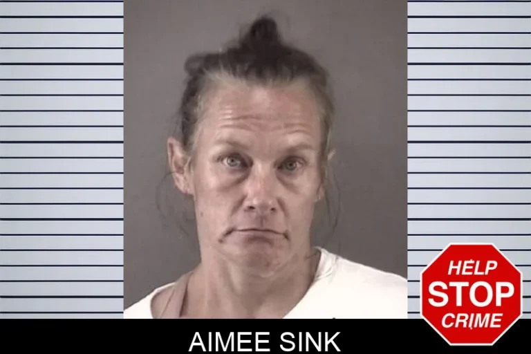Aimee Sink