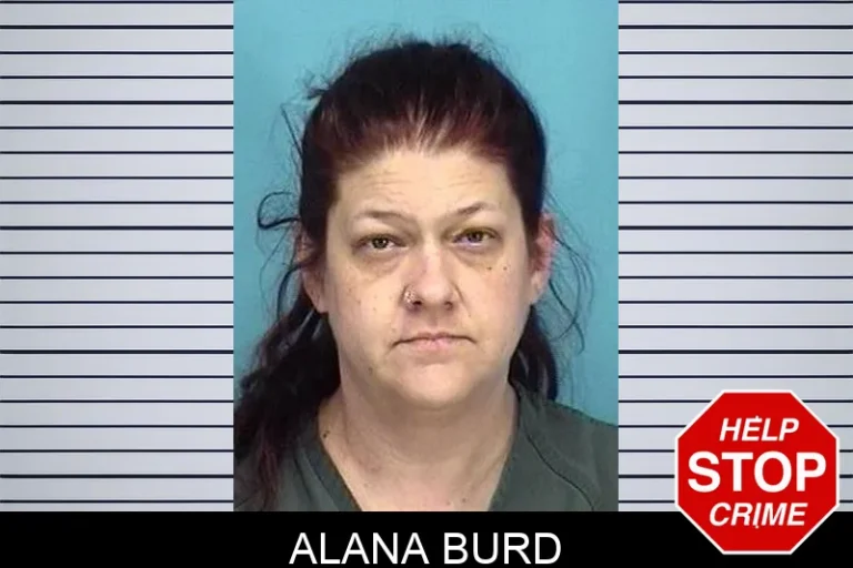 Alana Burd