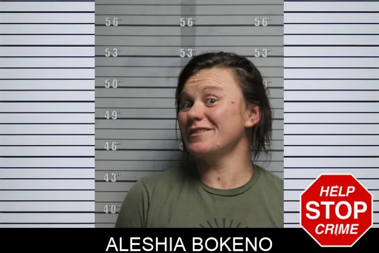 Aleshia Bokeno