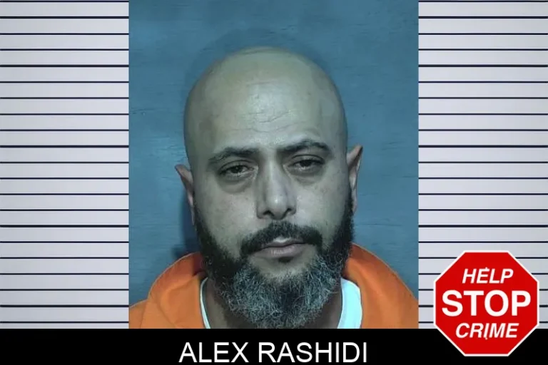 Alex Rashidi