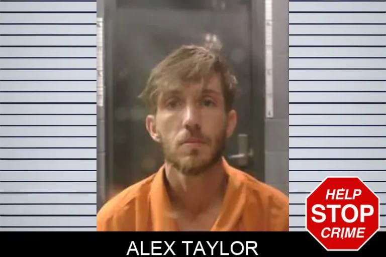 Alex Taylor