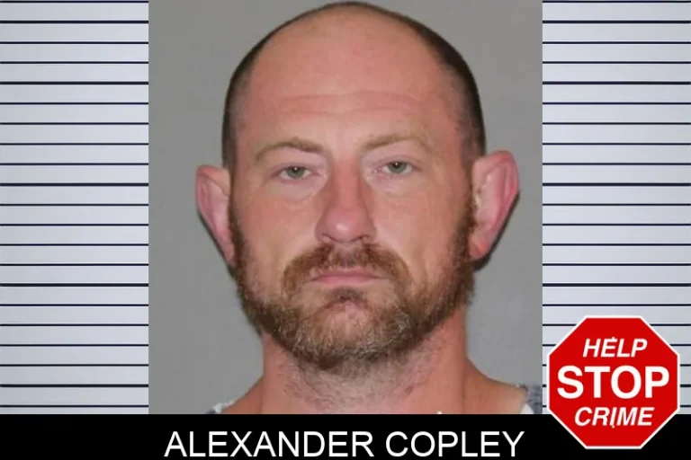 Alexander Copley