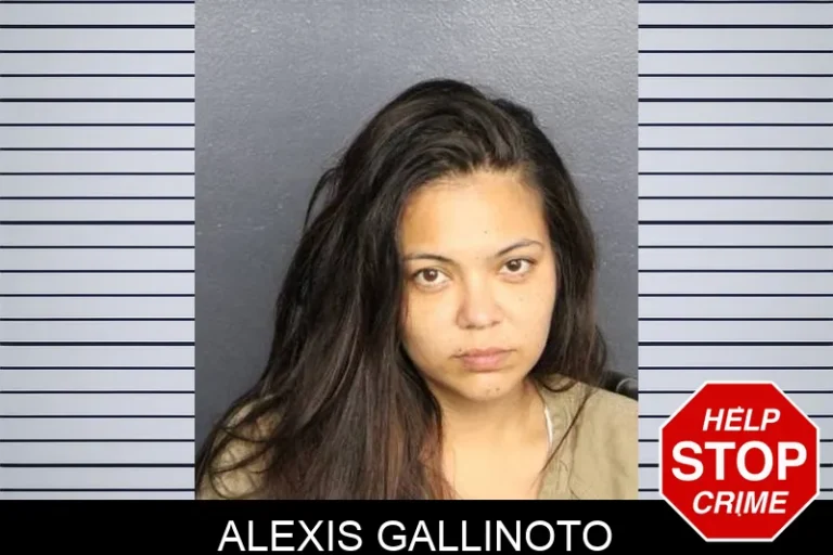 Alexis Gallinoto