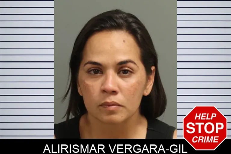 Alirismar Vergara-Gil