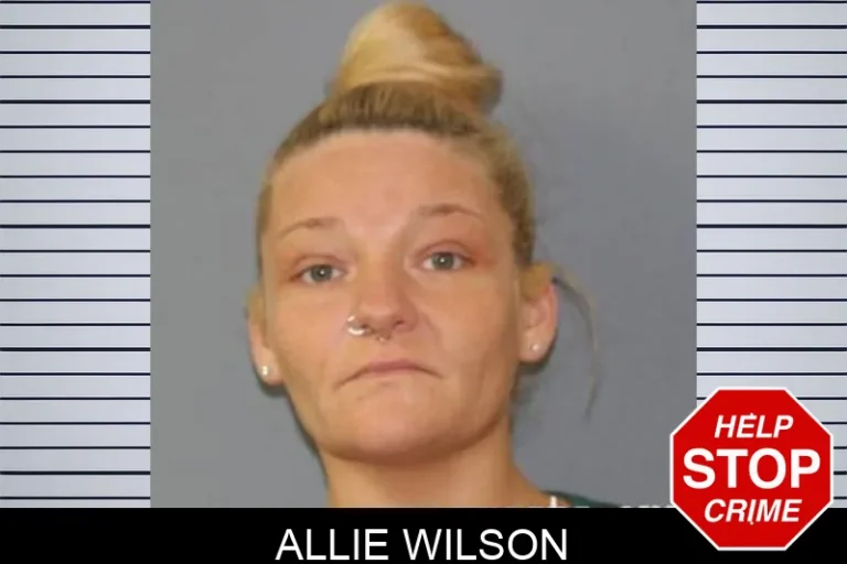 Allie Wilson