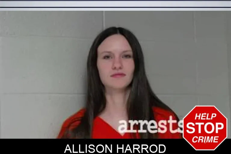Allison Harrod
