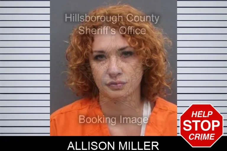 Allison Miller