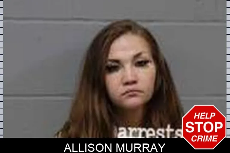 Allison Murray