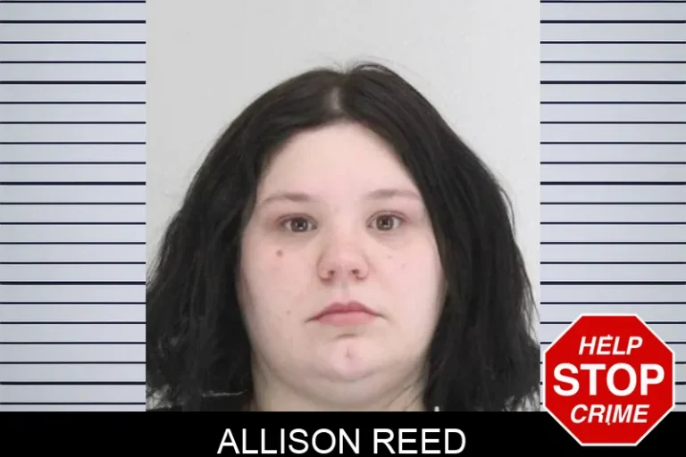 Allison Reed