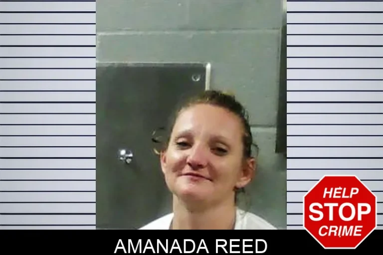 Amanada Reed