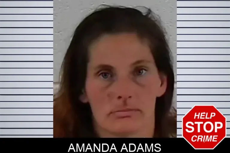 Amanda Adams