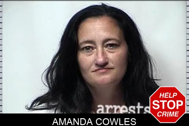Amanda Cowles