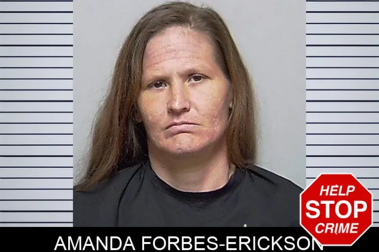 Amanda Forbes-Erickson