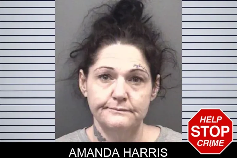 Amanda Harris