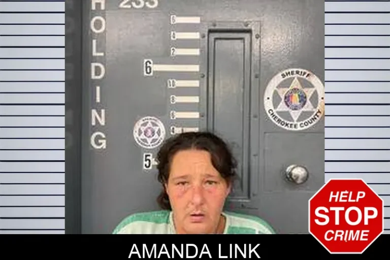 Amanda Link