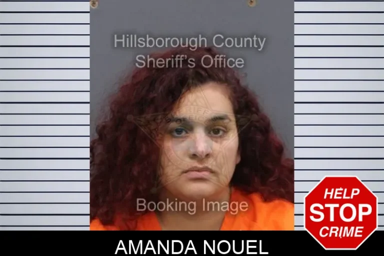 Amanda Nouel
