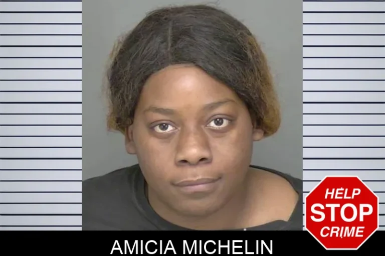 Amicia Michelin