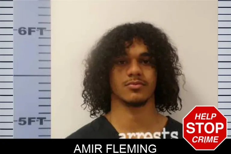 Amir Fleming