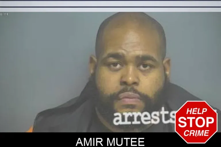 Amir Mutee