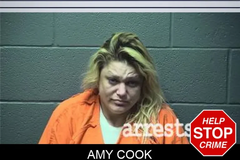 Amy Cook