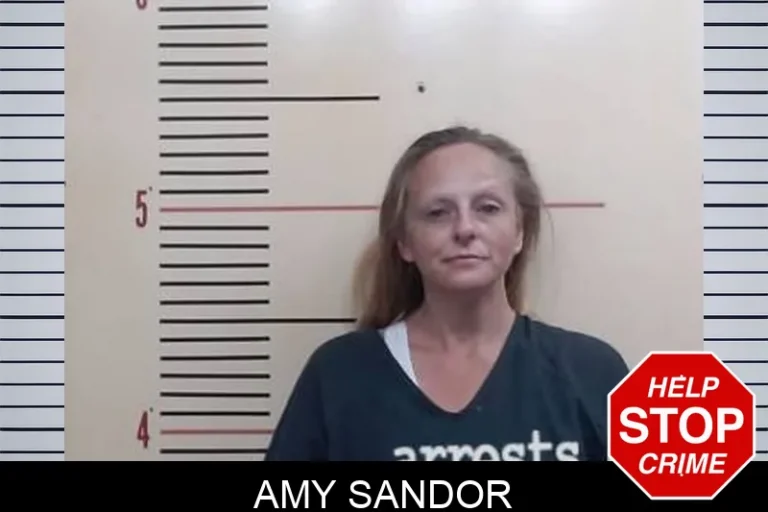 Amy Sandor