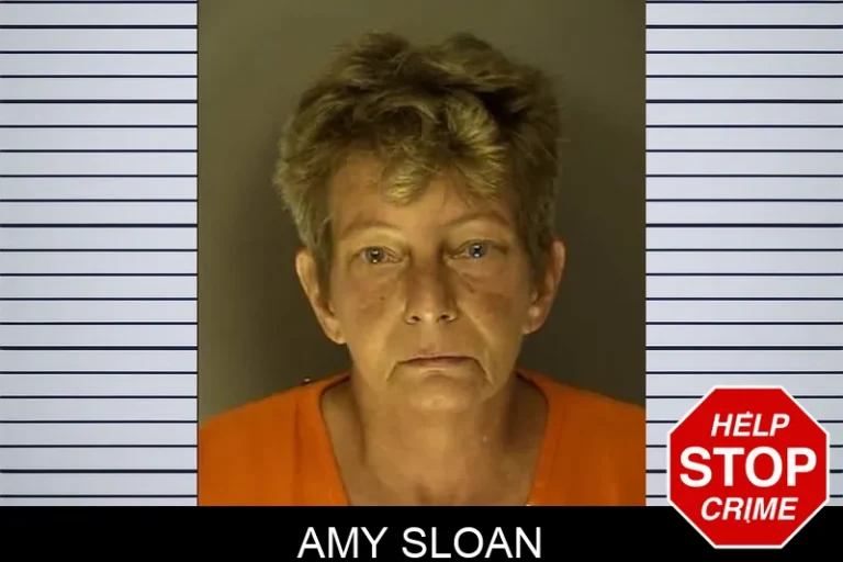 Amy Sloan