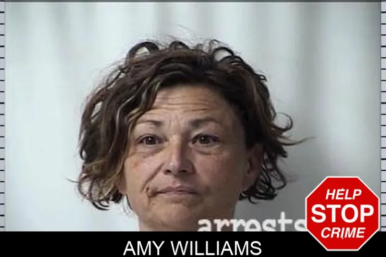 Amy Williams