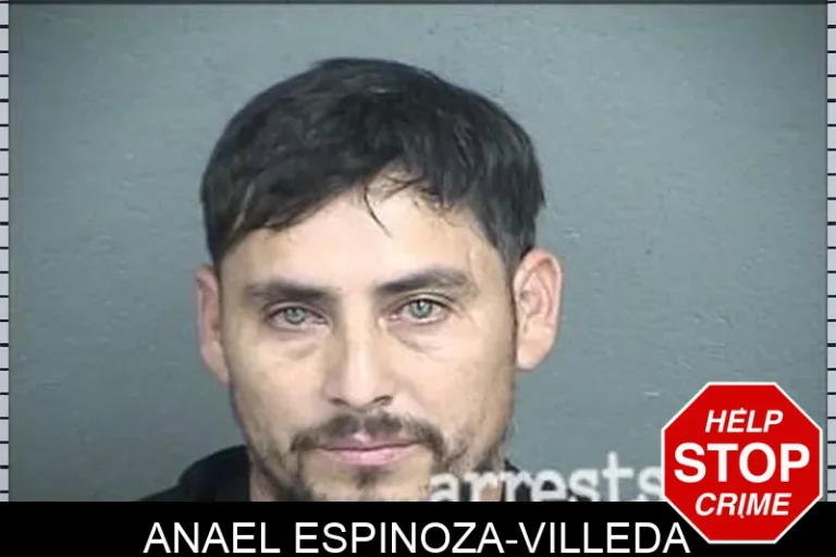 Anael Espinoza-Villeda