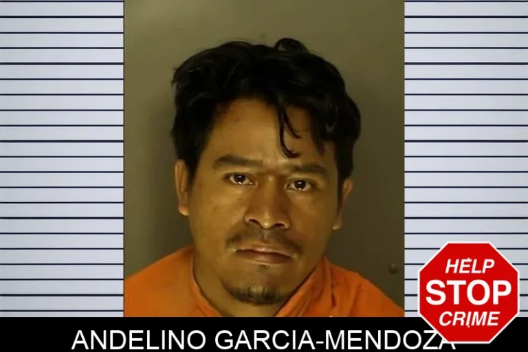 Andelino Garcia-Mendoza