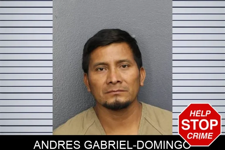 Andres Gabriel-Domingo