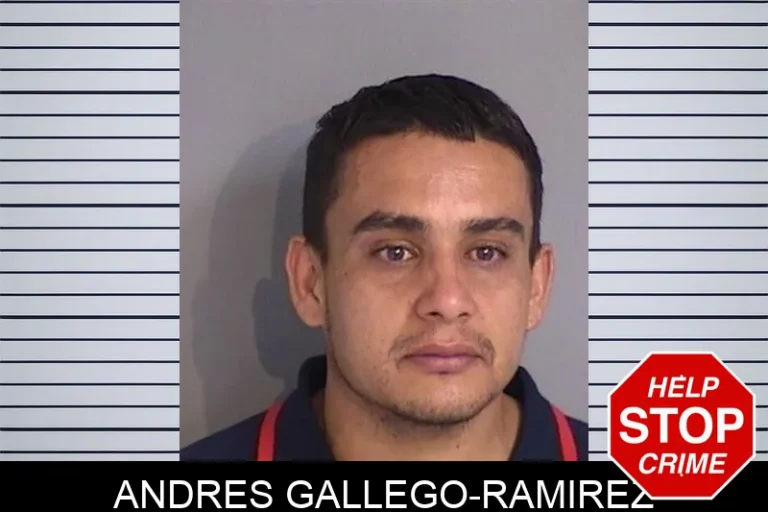 Andres Gallego-Ramirez