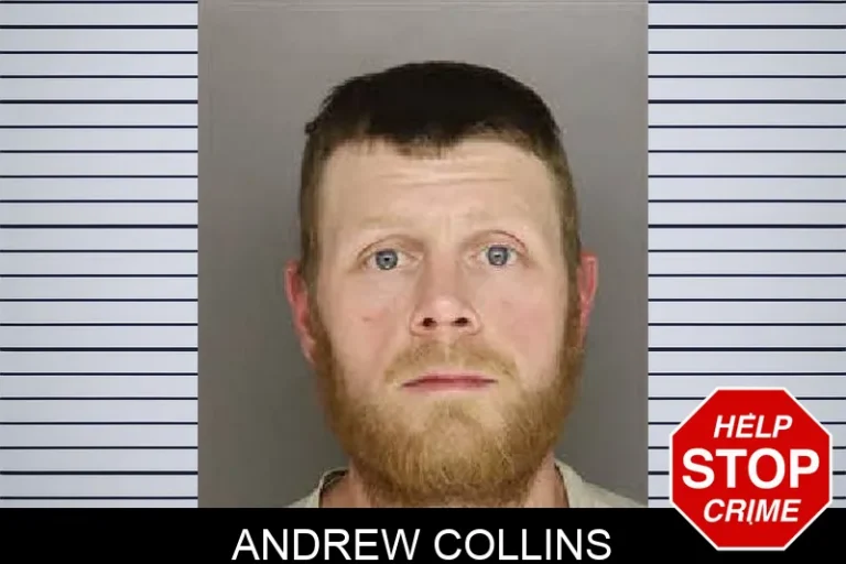Andrew Collins
