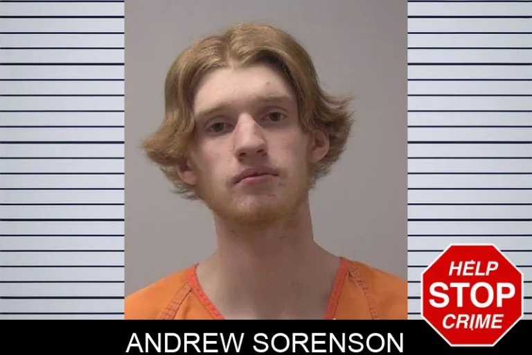Andrew Sorenson