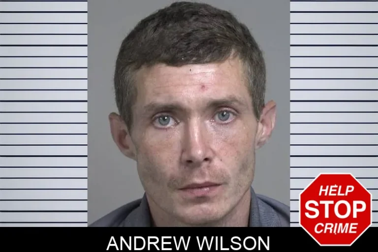 Andrew Wilson
