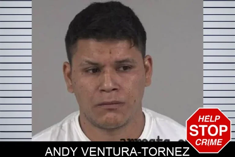 Andy Ventura-Tornez
